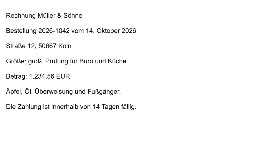 स्कैन किए गए पृष्ठ का एक अंश, जिसमें „Rechnung Müller & Söhne“ और „Betrag: 1.234,56 EUR“ पंक्तियाँ हैं। पृष्ठ में केवल एक छवि है।